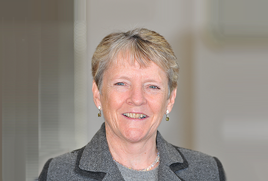 Jean Llewellyn, OBE, Appointed to the WINS Board of Directors